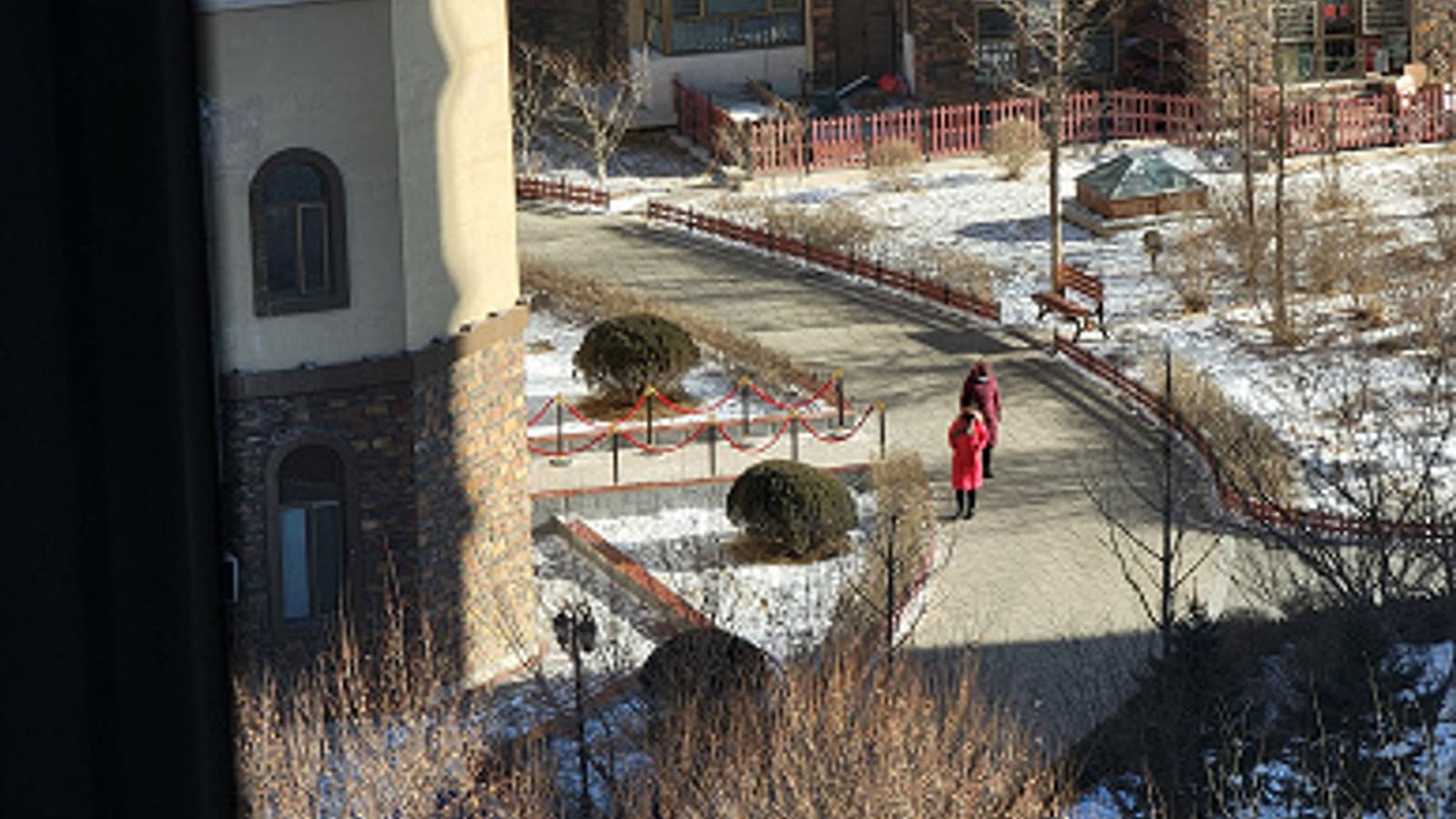 Впечатляющие возможности зума Samsung Galaxy S21 Ultra на живых фото