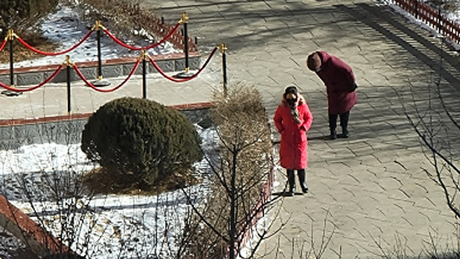 Впечатляющие возможности зума Samsung Galaxy S21 Ultra на живых фото