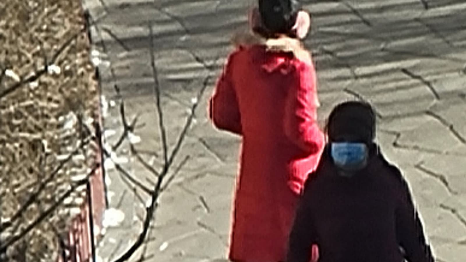 Впечатляющие возможности зума Samsung Galaxy S21 Ultra на живых фото