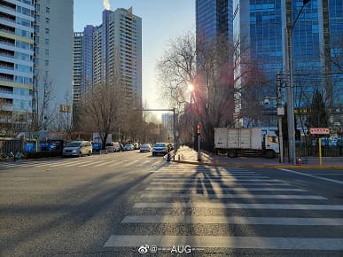 Первое сравнение камер Samsung Galaxy S21 Ultra и S20 Ultra