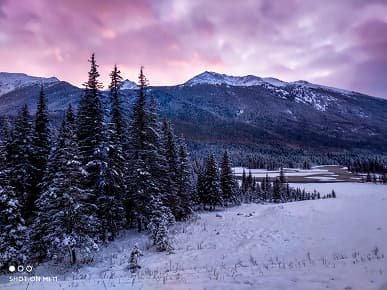 Xiaomi показала возможности основной камеры европейского Xiaomi Mi 11