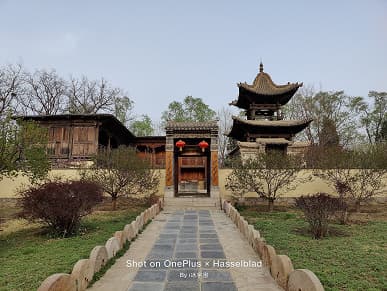 Xiaomi Mi 11 Ultra против новейших камерофонов. Samsung Galaxy S21 Ultra, Oppo Find X3 Pro и OnePlus 9 Pro показывают свои силы