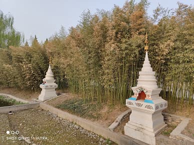 Xiaomi Mi 11 Ultra против новейших камерофонов. Samsung Galaxy S21 Ultra, Oppo Find X3 Pro и OnePlus 9 Pro показывают свои силы Xiaomi Mi 11 Ultra против новейших камерофонов. Samsung Galaxy S21 Ultra, Oppo Find X3 Pro и OnePlus 9 Pro показывают свои силы