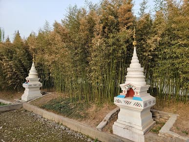 Xiaomi Mi 11 Ultra против новейших камерофонов. Samsung Galaxy S21 Ultra, Oppo Find X3 Pro и OnePlus 9 Pro показывают свои силы