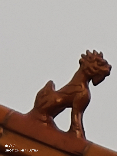 Первое сравнение камер Xiaomi Mi 11 Ultra и Samsung Xiaomi Mi 11 Ultra. Действительно ли первый является лучшим?