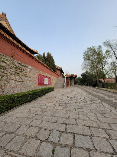 Первое сравнение камер Xiaomi Mi 11 Ultra и Samsung Xiaomi Mi 11 Ultra. Действительно ли первый является лучшим?