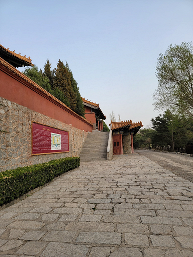 Первое сравнение камер Xiaomi Mi 11 Ultra и Samsung Xiaomi Mi 11 Ultra. Действительно ли первый является лучшим?