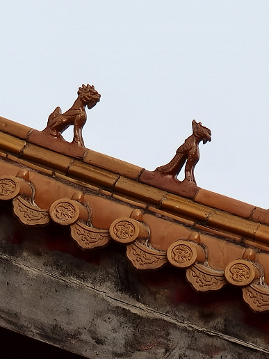 Первое сравнение камер Xiaomi Mi 11 Ultra и Samsung Xiaomi Mi 11 Ultra. Действительно ли первый является лучшим?