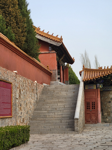 Первое сравнение камер Xiaomi Mi 11 Ultra и Samsung Xiaomi Mi 11 Ultra. Действительно ли первый является лучшим?