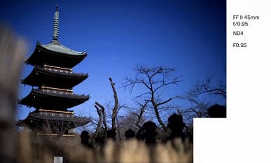 Галерея дня: снимки, сделанные объективами Laowa Argus с максимальной диафрагмой f/0,95