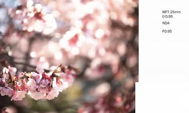 Галерея дня: снимки, сделанные объективами Laowa Argus с максимальной диафрагмой f/0,95