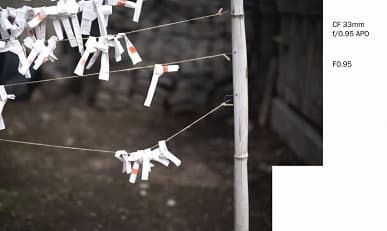 Галерея дня: снимки, сделанные объективами Laowa Argus с максимальной диафрагмой f/0,95