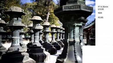 Галерея дня: снимки, сделанные объективами Laowa Argus с максимальной диафрагмой f/0,95