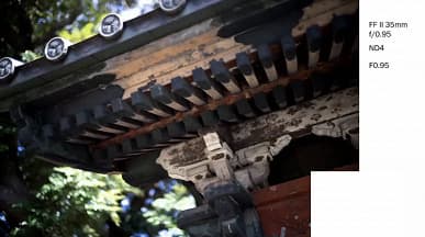 Галерея дня: снимки, сделанные объективами Laowa Argus с максимальной диафрагмой f/0,95