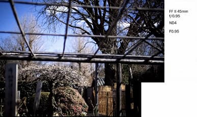 Галерея дня: снимки, сделанные объективами Laowa Argus с максимальной диафрагмой f/0,95