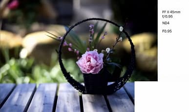 Галерея дня: снимки, сделанные объективами Laowa Argus с максимальной диафрагмой f/0,95