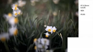 Галерея дня: снимки, сделанные объективами Laowa Argus с максимальной диафрагмой f/0,95