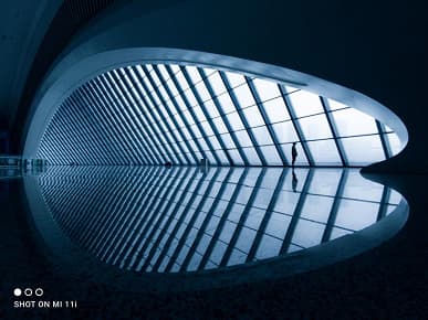 Xiaomi Mi 11i оказался отличным камерофоном. Подборка зрелищных фотографий