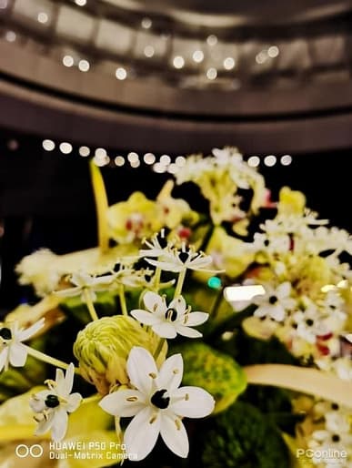 Возможности лучшего камерофона Huawei P50 Pro показали в разных сценариях