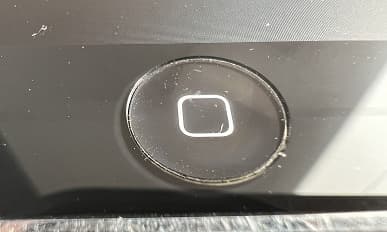 На что способен iPhone 13 Pro в режиме макросъёмки: достоинства и недостатки