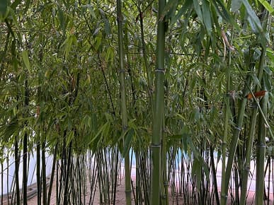 «Лучшая камера и невероятная автономность». Первый обзор iPhone 13 Pro