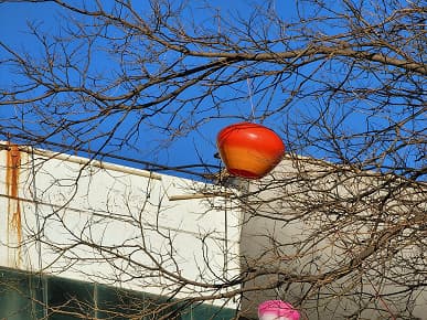 Демонстрация возможностей разных камер Samsung Galaxy S22 Ultra