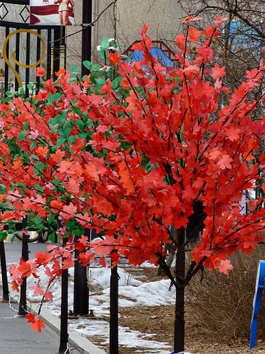 Множество фотографий телевика Galaxy S22 Ultra показывают, насколько хорошо у Samsung получилась эта камера