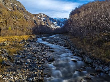 «После просмотра этого, вы поймете, почему я говорю, что это следующий король камер». Фото, сделанные на камеру vivo X90 Pro+, выглядят потрясающе