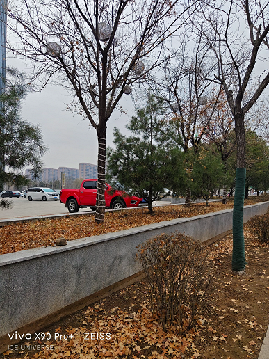 Возможности камеры и зума новейшего флагмана Vivo X90 Pro+ показали на новых снимках