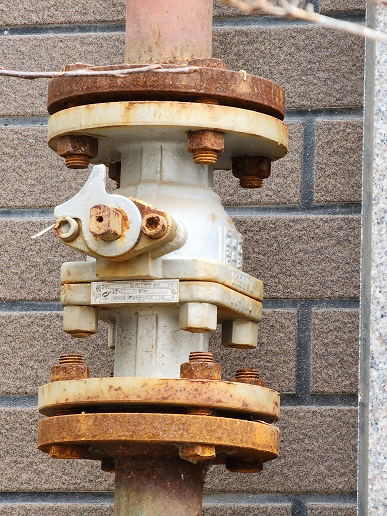 «Эра доминирования Samsung в снимках с 10-кратным приближением закончилась», — опубликовано сравнение Galaxy S22 Ultra и Vivo X90 Pro+