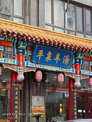 Возможности камеры и зума новейшего флагмана Vivo X90 Pro+ показали на новых снимках