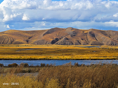 «Эти фотографии трудно превзойти на любом телефоне Samsung». Подборка новых фотографий, сделанных на Vivo X90 Pro+ 