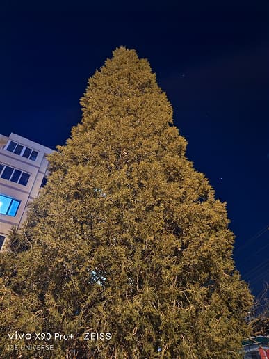 «Я сравнил ночную съемку в Galaxy S22 Ultra и Vivo X90 Pro+, разница очевидна». Новые фотоэксперименты инсайдера Ice Universe