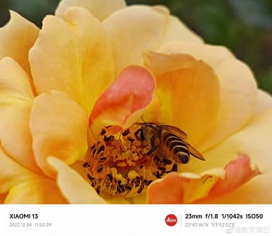 Глава Xiaomi утверждает, что даже стандартная версия Xiaomi 13 снимает очень хорошо. Опубликованы новые примеры