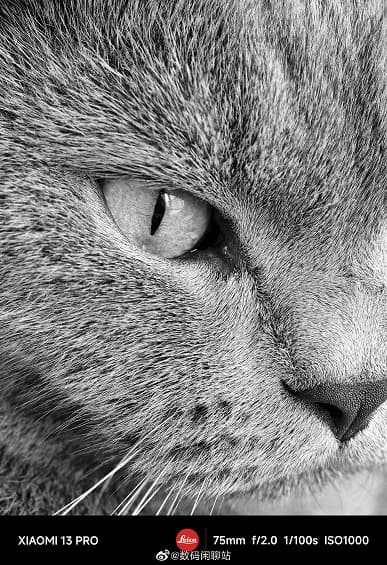 Так выглядит повседневная съемка на Xiaomi 13. Инсайдер показал нерекламные фото, сделанные на камеры Leica новых флагманов