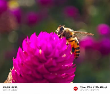 Опубликованы эффектные фото и видео с Xiaomi 13 Pro, демонстрирующие макросъёмку