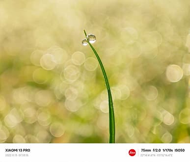 Опубликованы эффектные фото и видео с Xiaomi 13 Pro, демонстрирующие макросъёмку