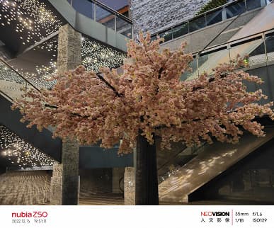 Так снимает самый дешевый флагман на Snapdragon 8 Gen 2. Галерея фото, сделанных на камеру Nubia Z50