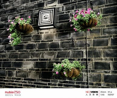 Так снимает самый дешевый флагман на Snapdragon 8 Gen 2. Галерея фото, сделанных на камеру Nubia Z50