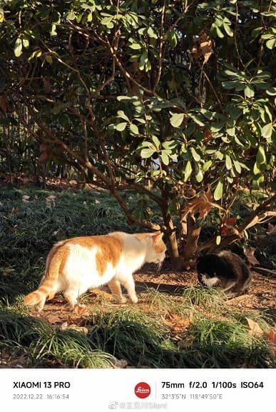 Возможности камеры Xiaomi 13 Pro в самых разных сценариях показали в огромной подборке фотографий