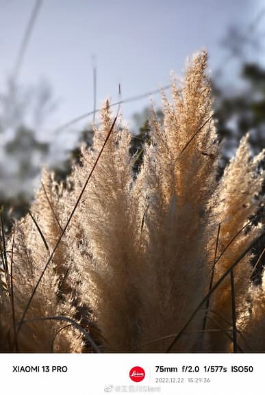 Возможности камеры Xiaomi 13 Pro в самых разных сценариях показали в огромной подборке фотографий