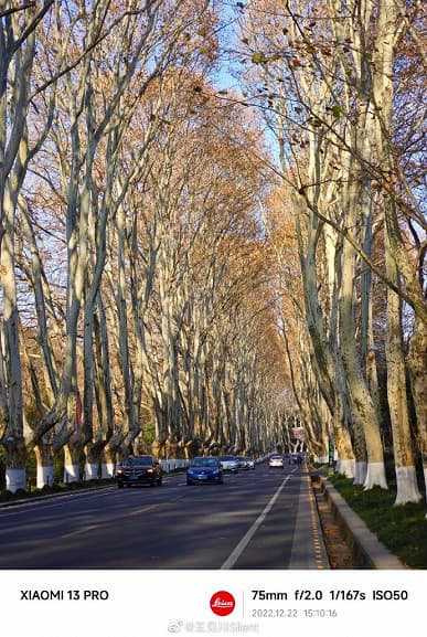 Возможности камеры Xiaomi 13 Pro в самых разных сценариях показали в огромной подборке фотографий