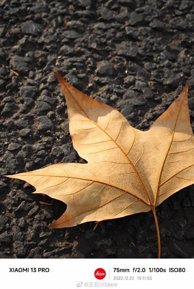 Возможности камеры Xiaomi 13 Pro в самых разных сценариях показали в огромной подборке фотографий