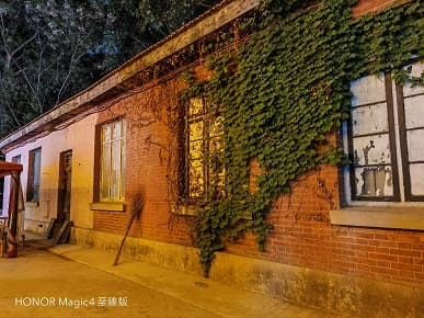 Так снимает топовый камерофон Honor и лучший смартфон в рейтинге DxOMark. Много фото, сделанных на камеру Honor Magic4 Ultimate