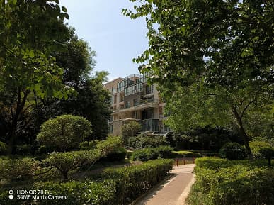 Так снимает Honor 70 Pro, оснащенный новейшим 54-мегапиксельным сенсором Sony IMX800. Опубликованы примеры фото в разных режимах, в том числе и ночью