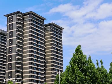 Так снимает Honor 70 Pro, оснащенный новейшим 54-мегапиксельным сенсором Sony IMX800. Опубликованы примеры фото в разных режимах, в том числе и ночью