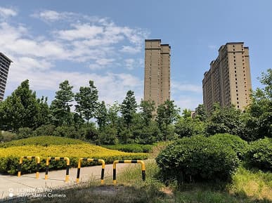 Так снимает Honor 70 Pro, оснащенный новейшим 54-мегапиксельным сенсором Sony IMX800. Опубликованы примеры фото в разных режимах, в том числе и ночью