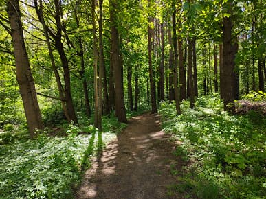 «iPhone 13 Pro отстаёт от Oppo Find X5 Pro на годы». Наглядное сравнение камер флагманов