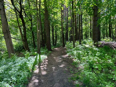 «iPhone 13 Pro отстаёт от Oppo Find X5 Pro на годы». Наглядное сравнение камер флагманов