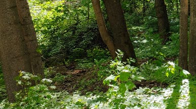 «iPhone 13 Pro отстаёт от Oppo Find X5 Pro на годы». Наглядное сравнение камер флагманов